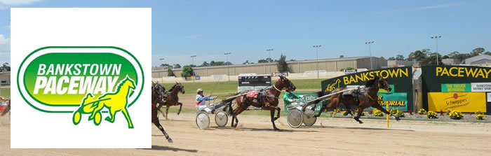 Bankstown Paceway | Bankstown Showgrounds