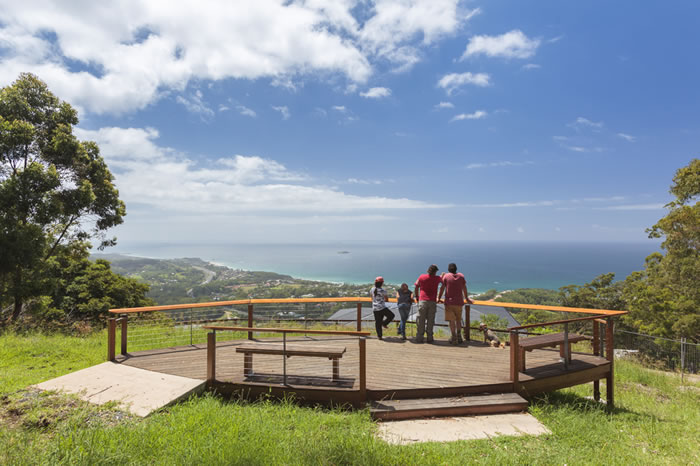 Korora Lookout | Orara East State Forest