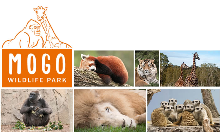 Mogo Wildlife Park