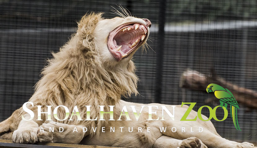 Shoalhaven Zoo