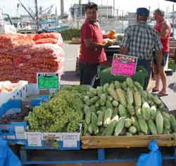 Torrens Island Markets